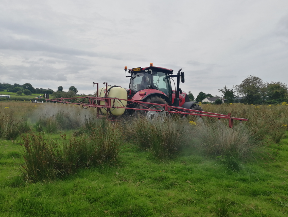 A red tractor in a grass field