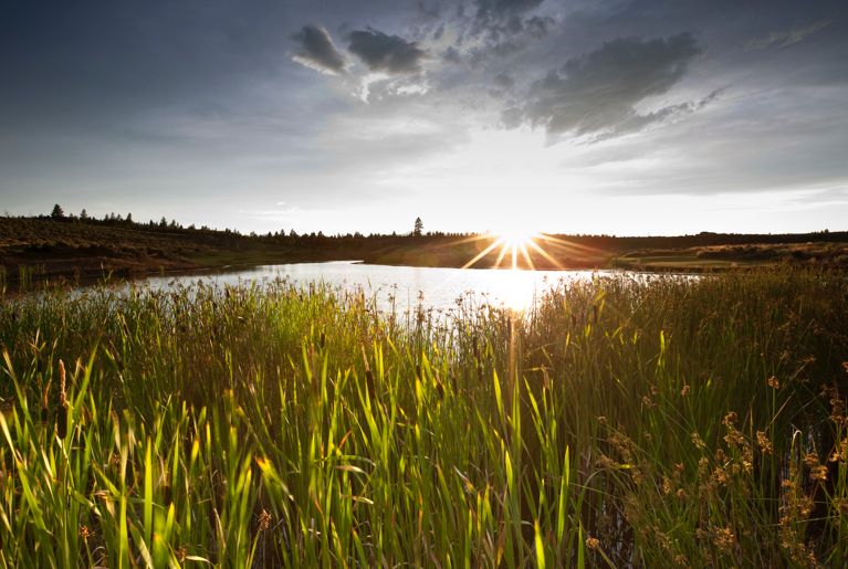 The sun setting over a lake and a field