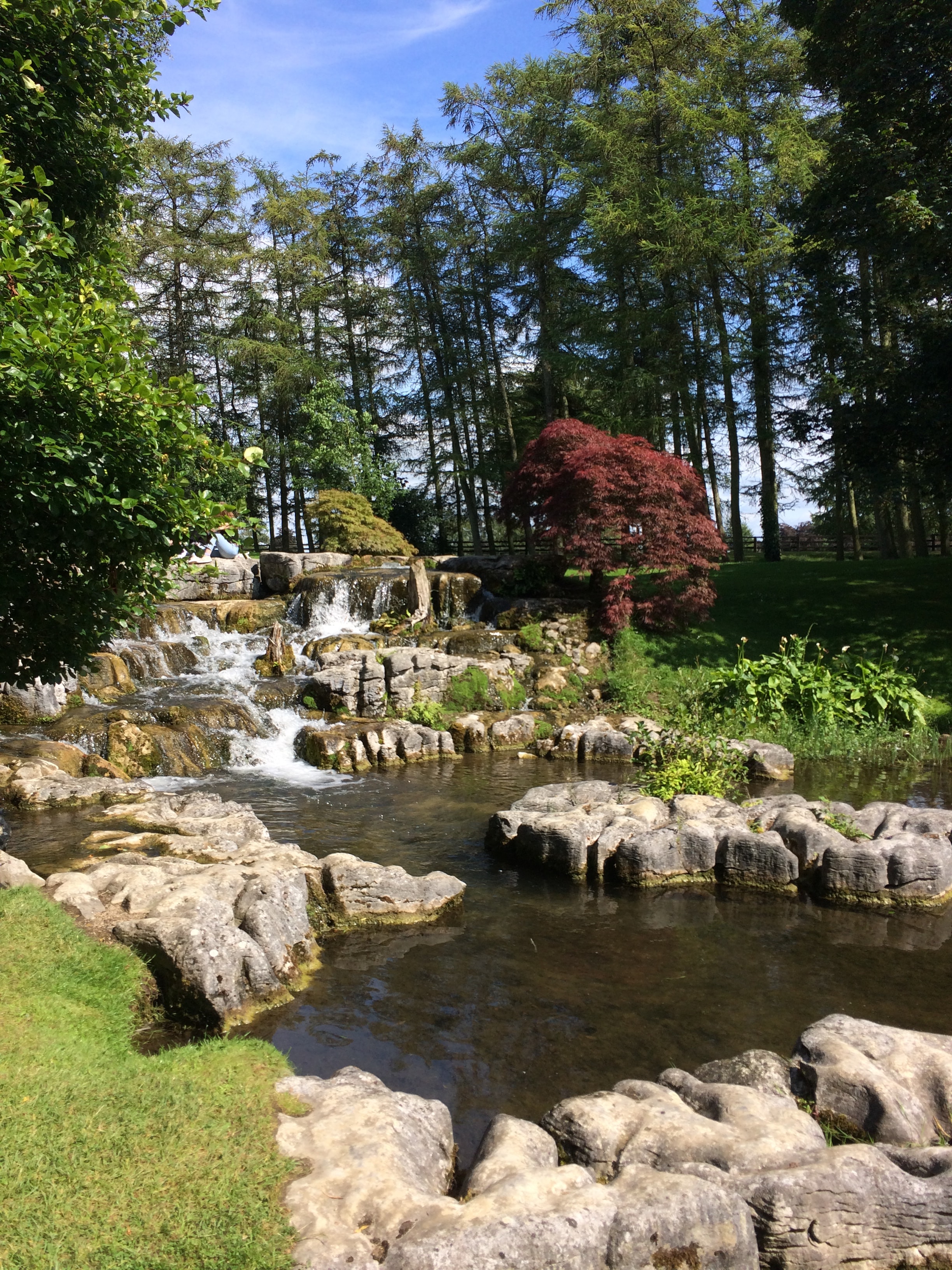 A rocky stream in the woods