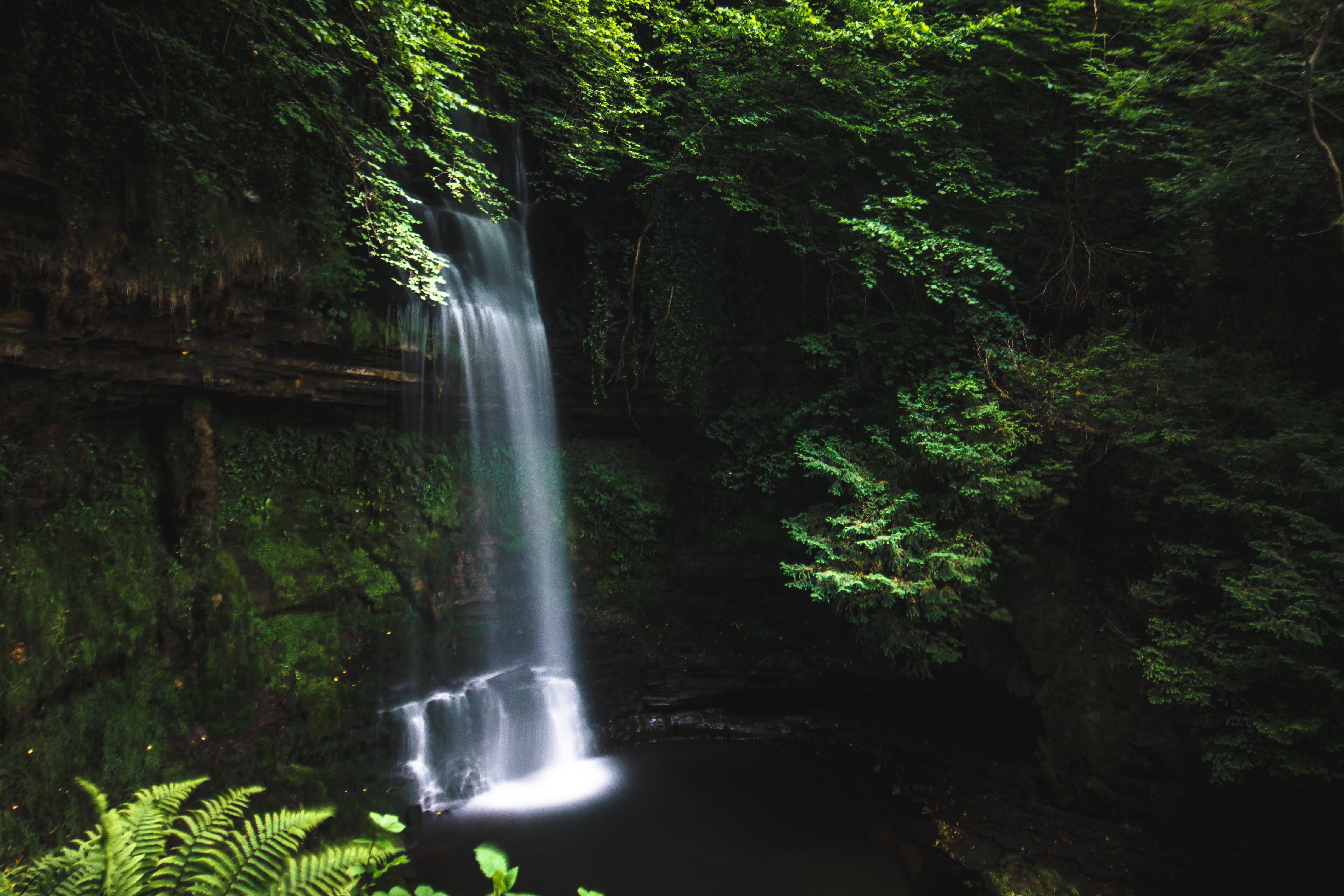 A small waterfall in a dark clearing in a forest